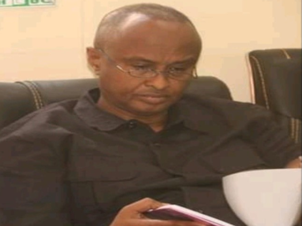 Prof Abdullahi